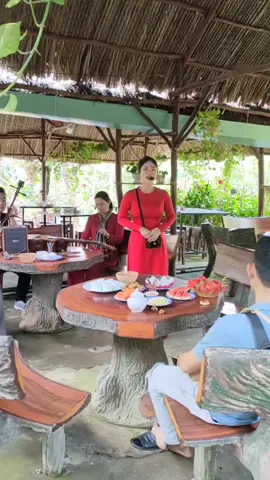 Sống dậy hồn quê qua làn điệu đờn ca tài tử xứ dừa 🥰 #dulichconphung #dulichconphungbentre #conphungbentre #conphungtourist #dulichbentre #dulichmientay #dulichmientaysongnuoc 