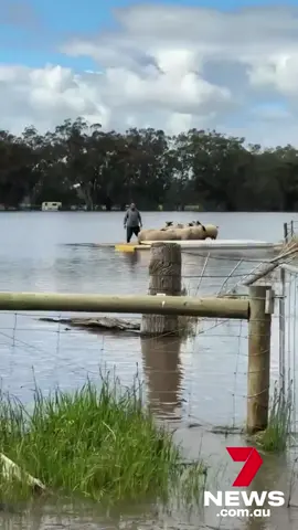 Residents in Victoria are battling a worsening flood emergency as swollen river catchments leave some areas completely inundated. Updates on 7NEWS.com.au #Victoria #floods #australia #7NEWS  