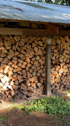 Firewood Inventory #firewood #fyp #inventory #wood #selfsufficient #stayingahead