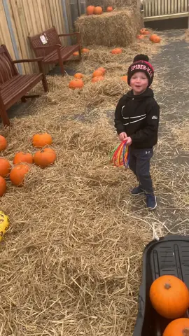 Our fabourite tike of the year 🎃👻