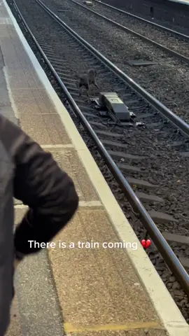 People dump dogs at stations like this all the time 💔 for every evil person there is a kind hearted one #hero #doglove #rescue 