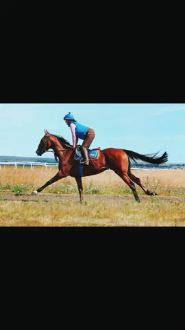 1 horse  1 season  5 wins 🥇🥇🥇🥇🥇 #LarryLooby #DidYouYawn #foryou @emmasmith50216 