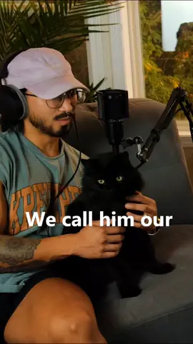 PART 2: Introducing the cats! (Socks & Sandals) The first episode of our podcast is out now on YouTube, Spotify, Apple Podcast, and Amazon Podcast! #phamilystandards #podcast  #poly #cats