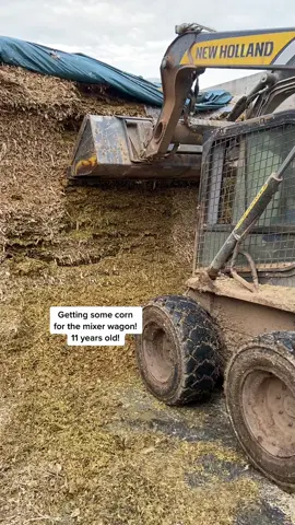 Homegrown corn!  T is getting some corn from the bunker silo to mix with silage and soybean- this wagon mixes everything together before they feed it to the cows! #yum #spoiled #cows #cowtok #cow #food #feed #mixerwagon #skidsteer #penta #cowfarm #newholland #farmlife #farm365 #whereyourfoodcomesfrom #thankafarmer #fyp #fypシ゚viral #foryou #farmtok #ag #agriculture #agtok #LearnOnTikTok #edutok #the_beef_boys #follow #country #homegrown #dailylifeonthefarm #novascotia #canada