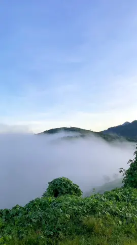 Di Puncak Bukit Salor Jeli kelantan Ketinggian 300m pun dah dapat awan kapet #Hiking #jeli #kelatan 
