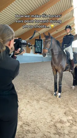 Comment your best tips ✍️👀 #mayadelorez #equestrian #foryou