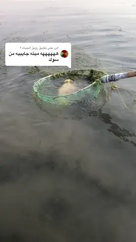 الرد على @رونق الحياة ٢ 