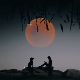 hum kyun na ban paaye hum?🥺🐼#mauritius #edits #englishtranslation #bollywood #englishlyricstatus🎧🎶 #Love #mood #bollywoodsong #rabbave @Uc amara @Anoush Ka 