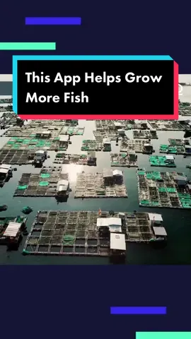 Gibran Huzaifah, CEO of eFishery, is poised to change how #fish #farms work with an #app that can increase production and profit.