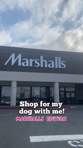Come shop with me for dog items at MARSHALLS! Where should I go next?  #marshallsfinds #odghaul #haulvideo #shopwithme #shopwithmeatmarshalls  #dogfinds 