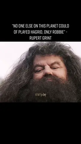 rewatching the films will never be the same again… 🤍🕊️ #fyp #drarryhq #harrypotter #foryoupage #robbiecoltrane #hagrid #rubeushagrid 
