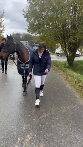 Ellen och Olle 🥰😍 #floccsappen #floccs #foryoupage #foryou #ellenhammarström @okmjaw 