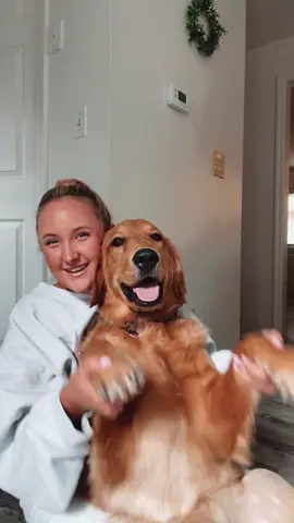 The cutest best Fran goes to Tucker 🫶🏼 #goldenretrieverpuppy #goldenretrieversoftiktok #dogmom #dogtrends 