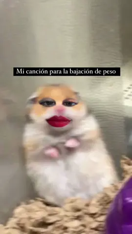 Voy a hacer un vlog sobre cómo va mi pérdida de peso en 2 semanas #fyp #weightloss 
