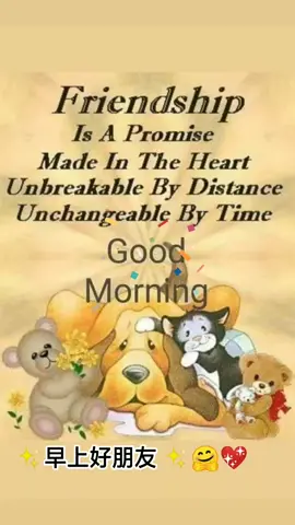 good Morning greetings 🌷 🌄#lifequotes #relax #inspire #inspirationalquotes #healthyliving #chillwithtiktok #foryoupage #goingviral #signs #happy #views #relax #fypシ #perspective #goodvibes 