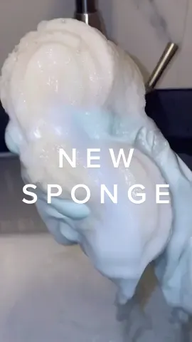 breaking in a new sponge w my current favorite combo #spongesqueezing #spongeasmr #spongetherapy #watersounds #satisfying #calming #relax 