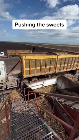 #sugar cane #truck #semitruck #florida cane harvest 