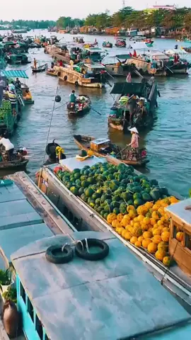 Cảnh đẹp Quê hương Việt Nam 🇻🇳❤ 