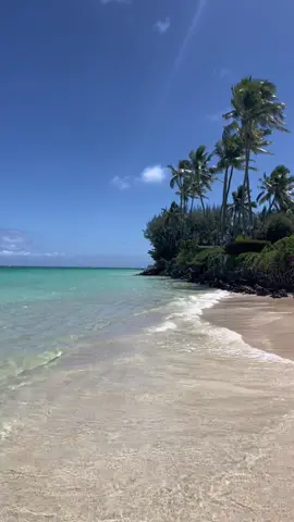 my favorite summer vacay⭐️ #summervacation #oahu #northshore #lanakai #lanakaibeach #fypシ #foryoupage #girlstrip #beachday #seaturtles #crystalclear #hawaii 