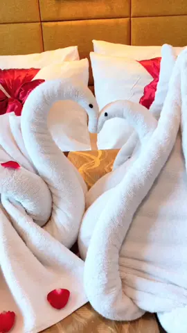 Towel Folding Art Swan . #theatriumgenuinehospitality #swantowel #honeymoonpackagejogja #theatriumhotelandresort 