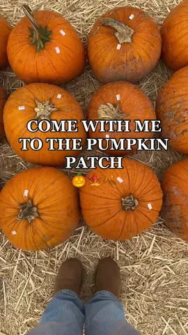 all the fall vibes 🎃🍂🤎 #fall #fallaesthetic #pumpkinpatch #falldayinthelife #fallvlog #fallactivities #fallvibes #autumnvibes #spookyszn #halloween #dayinmylife #Vlog #bonitapumpkinpatch 