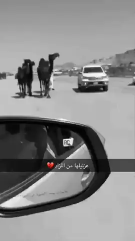 عزتيلها ولله من المزاد🦦#ردعان_حزام #اكسبلوررر #ترند_جديد #الدواسر_خطلان_الأيدي