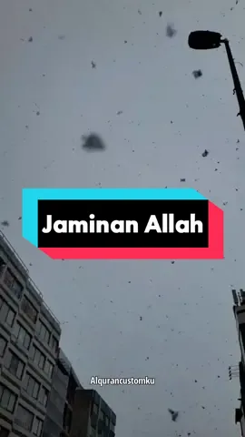 Allah SWT memberikan ganjaran yang luar biasa bagi umat-Nya yang menuju masjid untuk melaksanakan sholat subuh berjamaah dengan cahaya sempurna di akhirat kelak.  #ceramah #ceramahislam #kisahislami #hijrah #ustadzhananattaki 