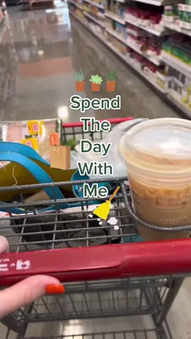 A pretty productive day. They’re rare, but they happen!👀 #spendthedaywithme #dayinmylife #dailyvlog #DailyRoutine #dogmom #catmom #myday #runningerrands 