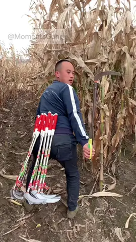 How to prepare a farm