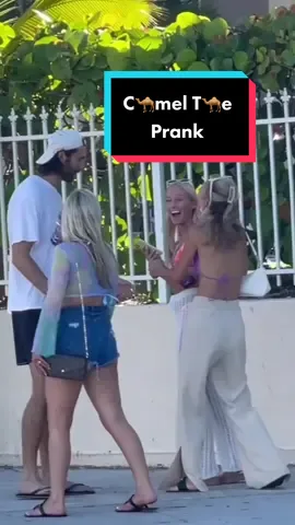 It really was a beautiful c🐪mel t🐪e 🤷‍♂️ #camel #prank #comedy
