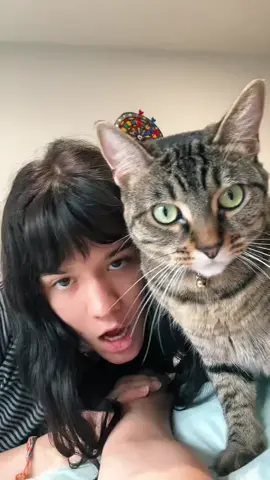 karma is a cat 