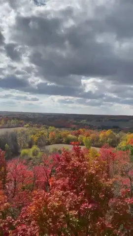 Rattlesnake Point was a vibe 🥹 can we admire the fall leaves and trees 🥰🥰 and the me ❤️ #rattlesnakepoint #fall #October #leaves #trees #creationofGod #loveinsight 