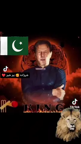 #امپورٹڈ_حکومت_نامنظور #عمران_خان_زندہ_باد💯💖🌹❤️ #fypシ #pti_zindabad #tabbasam321 