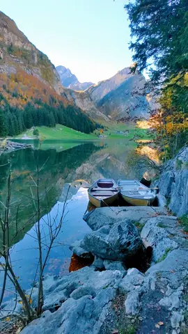 Enjoy the view with us 💕🌲🏞️🍂🍁 #seealpsee #swiss #switzerland #nature #landscape #scenery #naturelove #swissnature #autum #mountain #appenzell #stgallen #foryou #fyp 