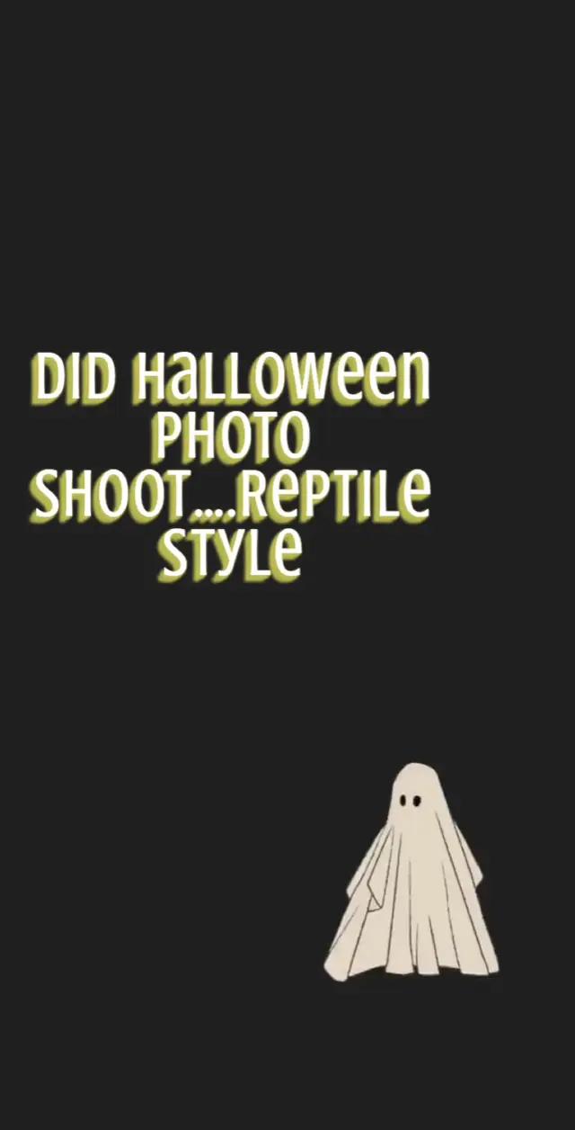 Spooky season reptile style 🦎@Ann Harrison                     #autum #witch #witchy #spell #witchyvibes #animalphotography #animalsofinstagram #beautifulanimals #wildanimals #amazinganimals #spookyseason #spooky #halloweenobsessed #snake #snakesofinstagram #snakelover #snakesofig #reptile #reptilesofinstagram #ballpython #autumn #pets #halloween #beardeddragon #lizards #ballpython #ballpythonmorph #ballpythons 