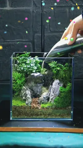 DIY mini fish tank landscaping, mountain design #aquarium #fishtank #tankdesign #aquascape #landscape #diyhomedecor #diycraft #mountain #plantedaquarium #fyp