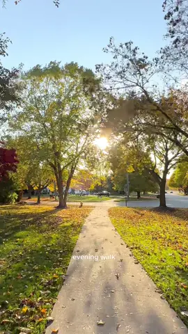 Nothing beats a warm fall day❤️ #fall #fallcolors #fallleaves #grandrapidsmichigan #grandrapids #michiganfall #michiganfallcolors #hotgirlwalk #eveningwalk #goldenhour