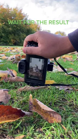 I tried my baby’s outdoor photography. Wait till the end for the result. Thank you #photography #outdoorphotography #babyphotoshoot #baby #babyphotography #autumn 