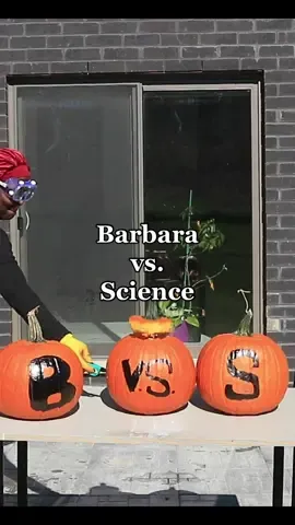Barbara vs. Science: Episode 2 👩🏾‍🔬  #fyp #fypシ #blackgirltiktok #blackwomeninstem #stem #Science #scienceexperiments #scienceathome #diyscience #athome #DIY #pumpkin #pumpkinseason #barbaravsscience 