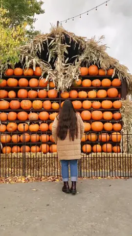 Ig: camykings 🎃 #pumpkinseason #pumpkin #pumpkinpatch #pumpkincarving #october #halloween #fallfashion #fallguysmoments #fallinlove #saltlakecity #saltlakecityutah #utah #utahcheck #utahgirls #utahblogger #utahliving 