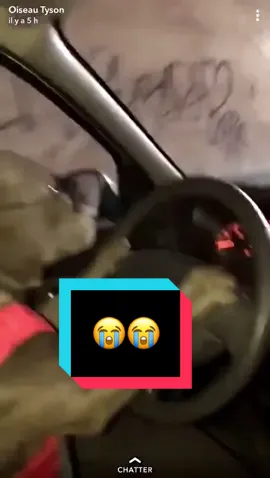 Tyson conduit #oiseautyson #dogdriver #dogdriving #france #twitter #mdr 