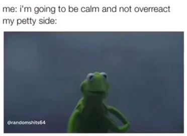 #memes #pettysideoftiktok #pettyside #funnyvideos #fyp #fy #relatable 