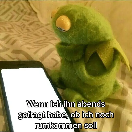 Ich lasse das jetzt einfach mal so stehen 🥲 #kermit #frauen #warumsindfrauenso #menners 