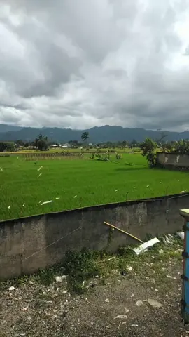 subhanallah