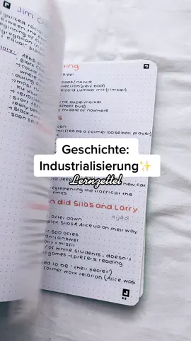 #foryou #foryoupage #fyp #fürdich #fyfyfy #viral #featureme #featurethis #study #studynotesideas #school #lernzettel #abitur #geschichteabi 