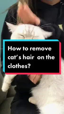 How to remove cat’s hair  on the clothes? #mucilage #apparatus #goodthings #goodthingsinlife #homeproduct #household #fyp #goodthing #mucilageapparatus #funnyvideos #foryoupage #goodies #goodthing 