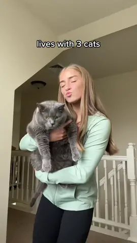 they’re adorable tho :) #allergies #catsoftiktok #cat #fyp (we have a porch cat too) 