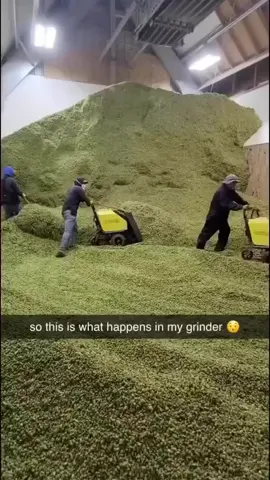Where do I apply?