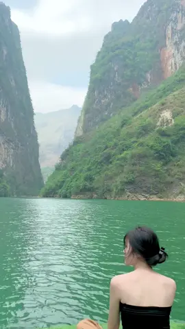 Hoa nở Xuân năm tới chúng ta gặp lại nhau 