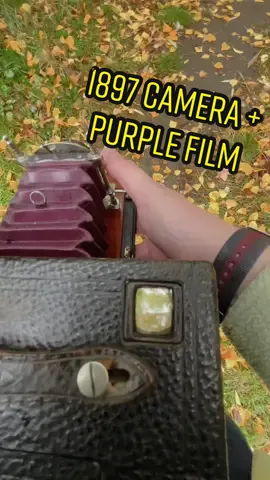 Do you like the results? This was such a peaceful little scene I just had to capture it 🥺 the wooden spool in the camera scratched the film slightly as I wound it on, but it kinda adds to the whole vibe for me… what do you think? Have you shot this film before? 🎞️ #expiredfilmclub #lomochromepurple #filmcamera #oldcamera #StemDrop001 #fyp 